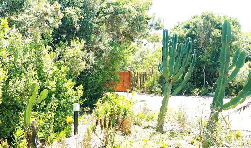 3 Bedroom Property for Sale in Wilderness Western Cape